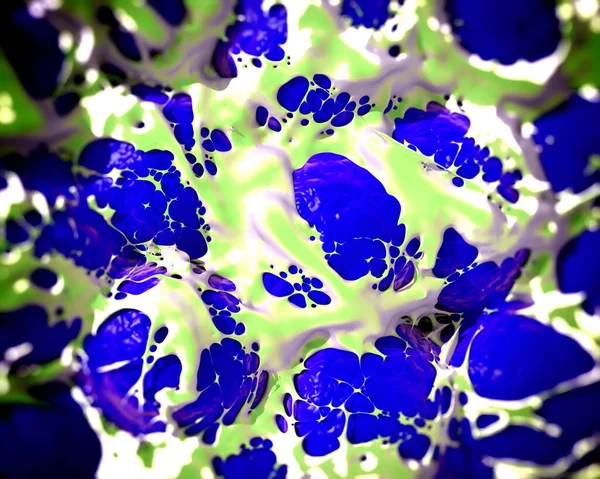 closeup of fat cells