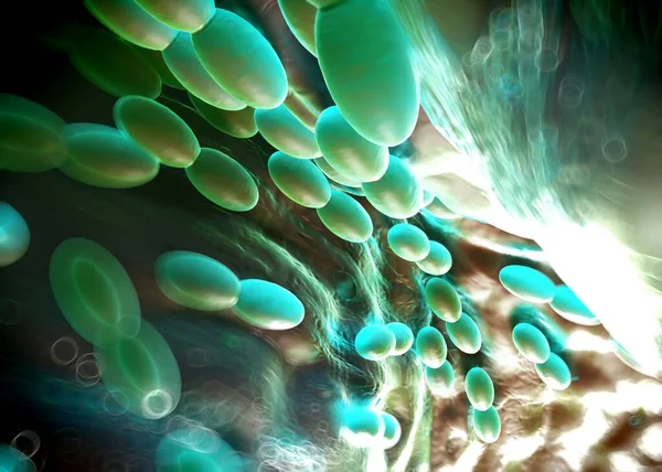 3D渲染 乙酸细菌 — 图库照片