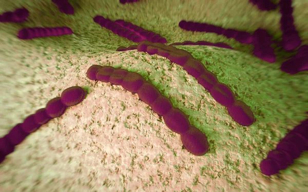 Streptococcus Pneumoniae Bakterier Konstverk — Stockfoto