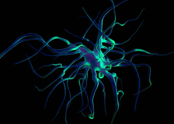 Neuron Nerve Cells Which Form Part Nervous System Which Process — Stock Photo, Image