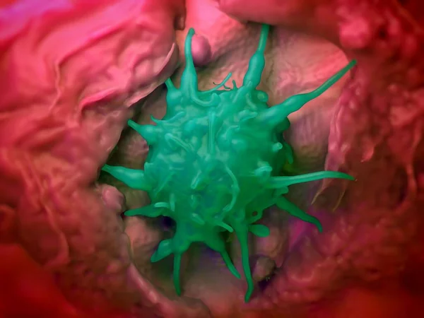 Doku eozinofili yakın çekim görüntüsü