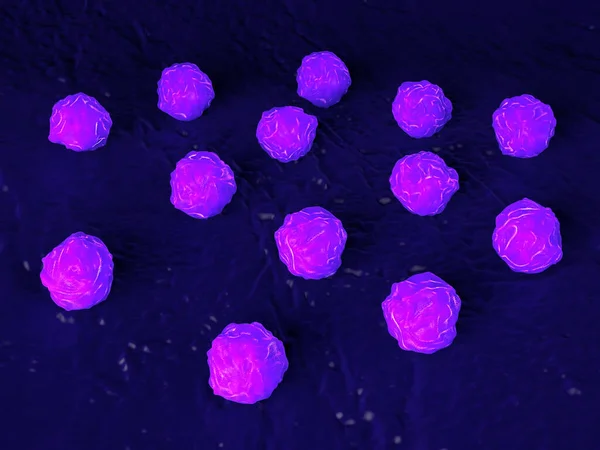 Bone marrow, stem cells of human bone marrow stem cells. These cells are known as multipotential stem cells because they form the precursors to every type of blood cell. During blood cell development the multipotential stem cell develops by a process