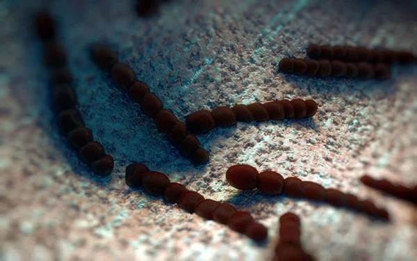 Streptococcus Pneumoniae Pneumococcus Gram Positive Coccus Shaped Pathogenic Bacteria Which — Stock Photo, Image