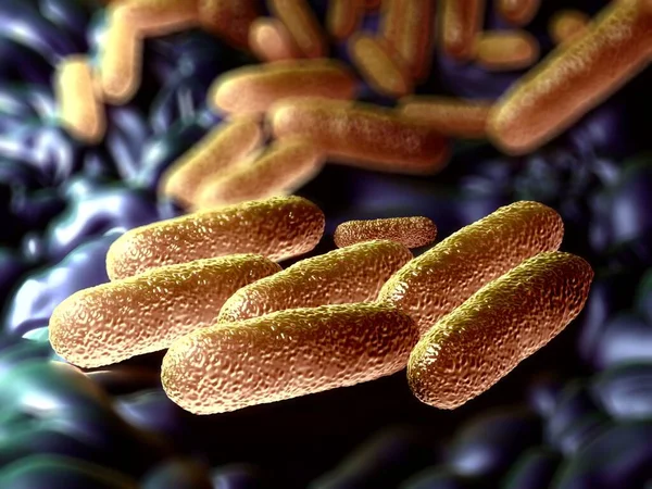 Illustratie Salmonella Typhimurium Bacteriën — Stockfoto