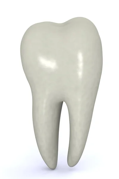 3Dレンダリング 健康な臼歯 — ストック写真