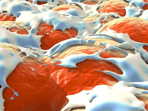 closeup of fat cells