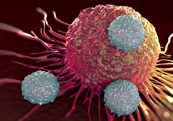 Células Atacando Células Cancerosas Ilustración Fotos Microscópicas — Foto de Stock
