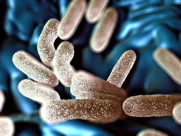 Ilustracja Bakterie Salmonella Typhimurium — Zdjęcie stockowe