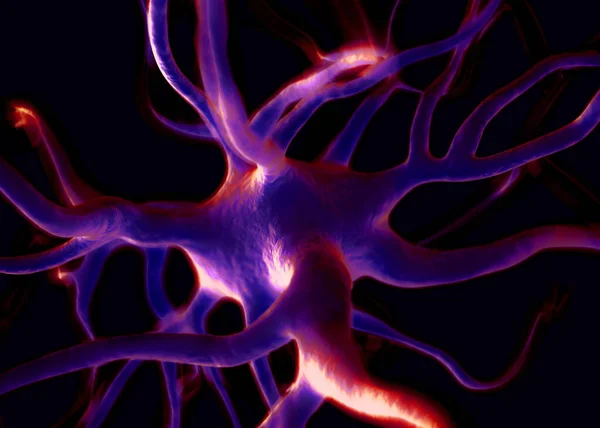 Нейроны Нервные Клетки Которые Являются Частью Нервной Системы Которые Обрабатывают — стоковое фото