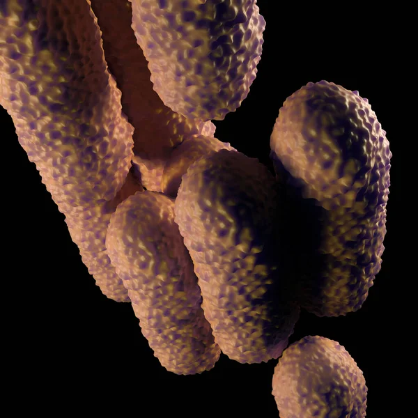 Ілюстрація Клітин Бактерій — стокове фото