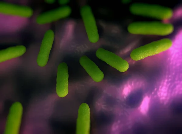 Крупним Планом Бактерії Лосося Тифімуріум — стокове фото