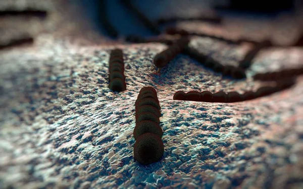 Streptococcus Pneumoniae Pneumococco Gram Positivo Cocco Forma Batteri Patogeni Che — Foto Stock