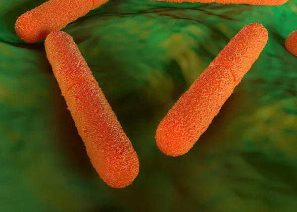 Clostridium botulinum bakteri çizimi