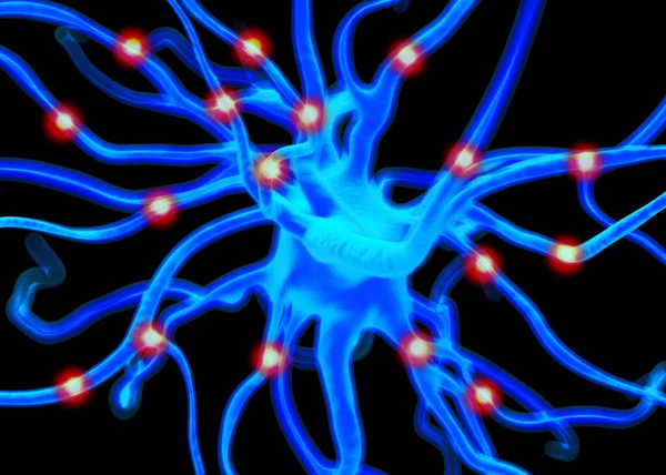 Neuron Nerve Cells Which Form Part Nervous System Which Process — Stock Photo, Image