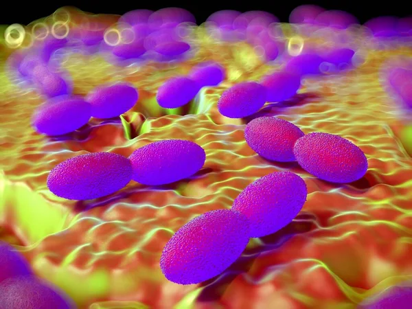 3D görüntüleme - asetobacter bakteri