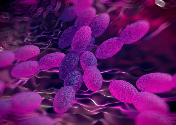Rendering Acetobacter Bacteria — Stock Photo, Image