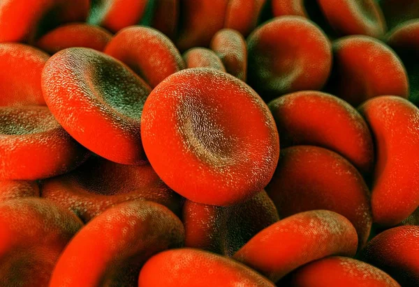 赤血球の閉鎖 — ストック写真
