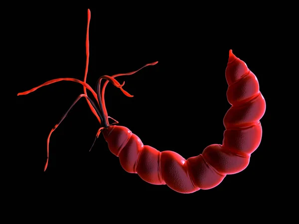 ヘリコバクター ピロリ菌の閉鎖 — ストック写真