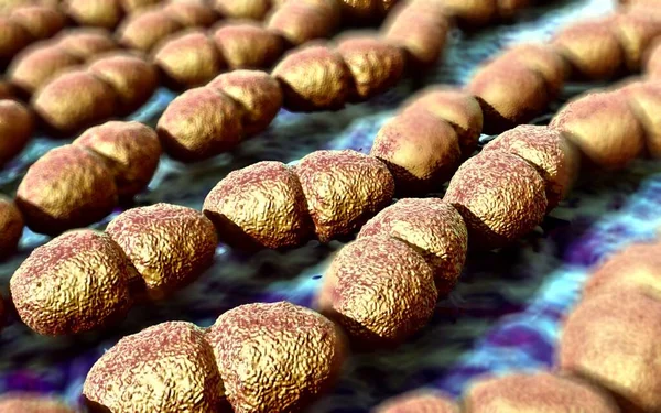 Ilustração Enterococcus Faecalis Bacterium — Fotografia de Stock