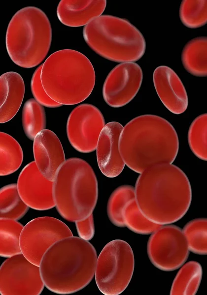 赤血球の閉鎖 — ストック写真