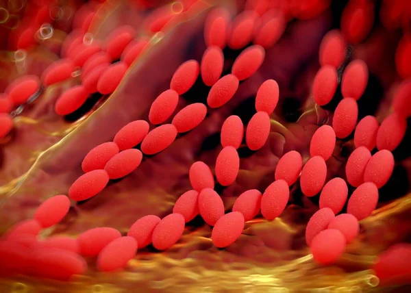 3D görüntüleme - asetobacter bakteri