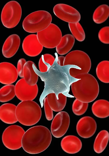 Glóbulos Rojos Plaquetas Activadas Glóbulos Blancos Fotos Microscópicas —  Fotos de Stock