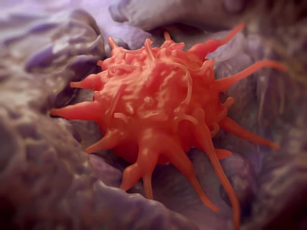 Doku eozinofili yakın çekim görüntüsü