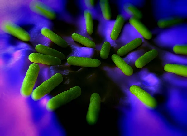 Close Van Salmonella Typhimurium Bacteriën — Stockfoto