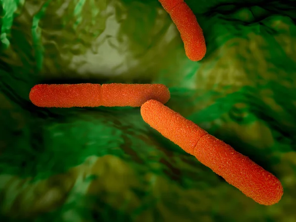 Clostridium Botulinum Бактерія Ілюстрація Мистецтва — стокове фото