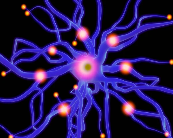 Concept Neurons Nervous System — Stock Photo, Image