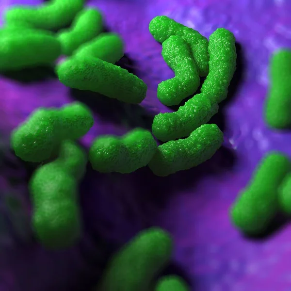 Illustratie Escherichia Coli Bacteriën — Stockfoto