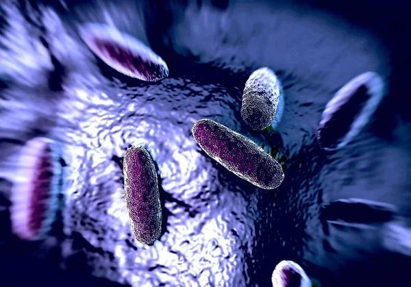 Ilustracja Bakterie Salmonella Typhimurium — Zdjęcie stockowe