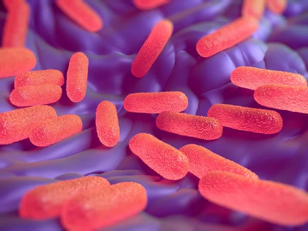 Estas Bacterias También Conocidas Como Salmonella Enterica Enterica Son Células — Foto de Stock