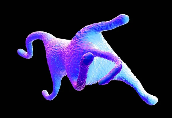 Amoeba Proteus Protozoan 이것은 박테리아와 원생동물을 단세포 유기체입니다 — 스톡 사진