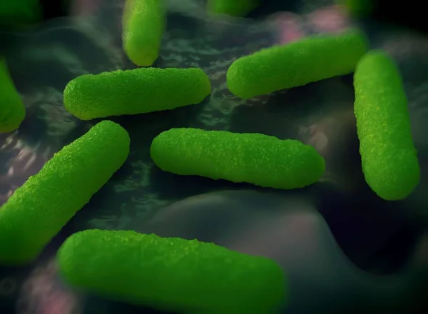 Ilustración Células Bacterianas — Foto de Stock