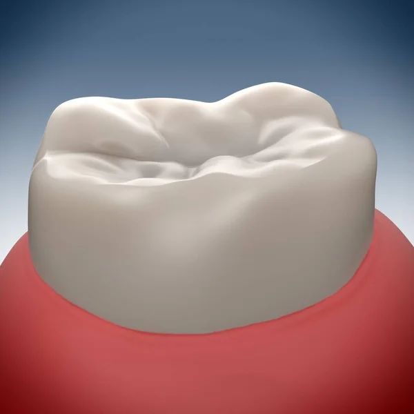 Vykreslování Zdravé Stoličkové Zuby — Stock fotografie