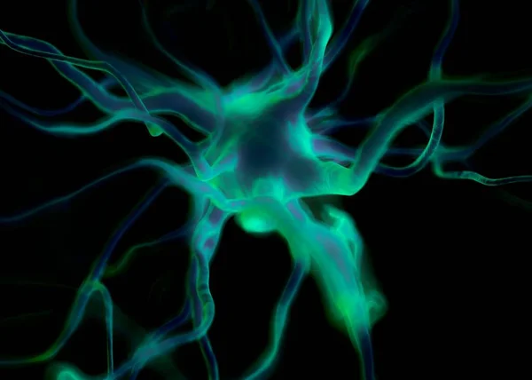 Neuron Eller Nervceller Som Ingår Nervsystemet — Stockfoto
