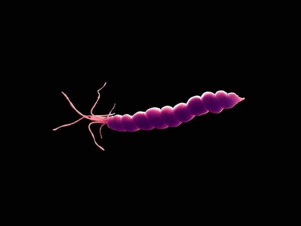 Närbild Helicobacter Pylori Bakterie — Stockfoto