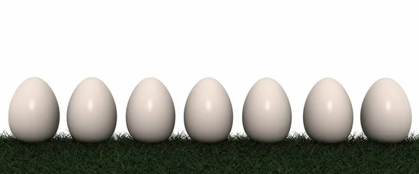 Huevos Blancos Una Fila — Foto de Stock