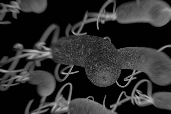 Closeup Helicobacter Pylori Bacterium — 스톡 사진