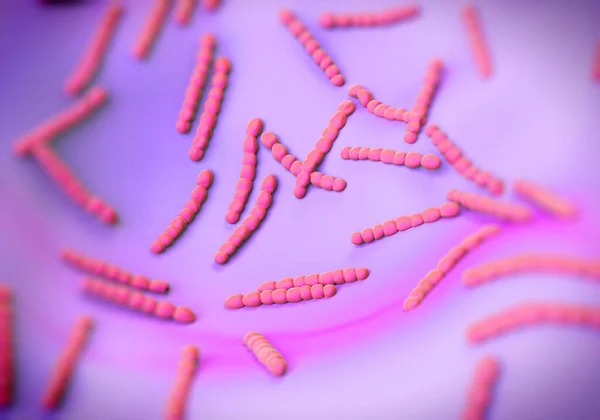 Kompozycja Bakterii Streptococcus Pneumoniae — Zdjęcie stockowe