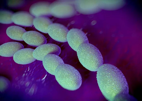 Rendering Bakteri Asetobacter — Stok Foto