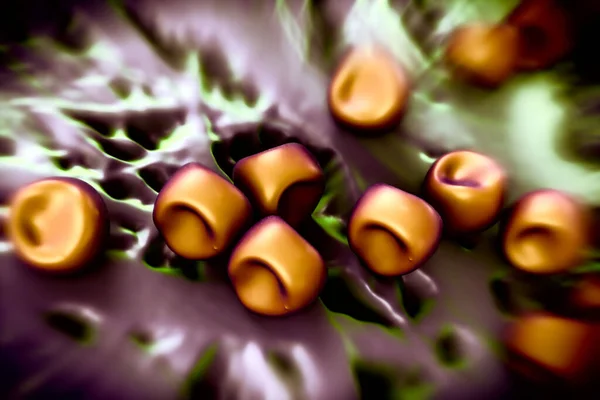 Aconite anther and pollen,pollen grain on an anther from an aconite(Aconitum) flower.