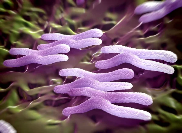 Los Cromosomas Son Una Forma Empaquetada Del Material Genético Adn — Foto de Stock