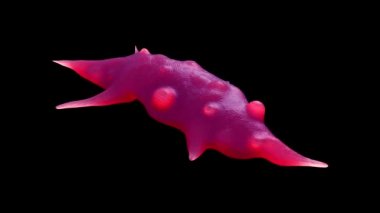 Kemik kanseri hücrelerinin 3 boyutlu yakın çekimi