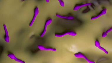 3D Clostridium Tetani Bakterisi