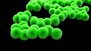 süperböcek veya Staphylococcus aureus (MRSA) bakterisi
