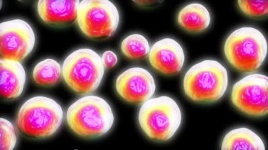 3d MRSA Bakteri veya Süper Böcek Bakterisi