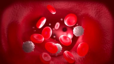Kan dolaşımı, yakın çekim görüntüsü 