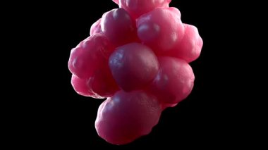 3d pluripotent Kök Hücrelere yakın çekim 